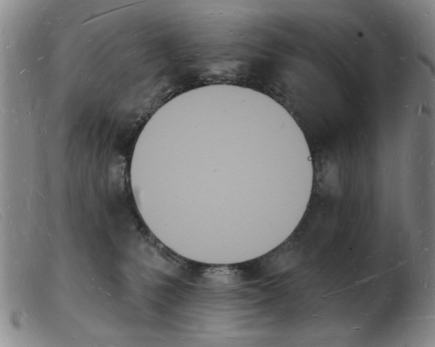 X0000103970231200809191406