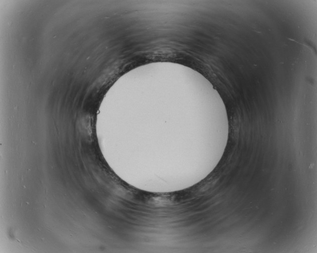 X0000103970232200809191406