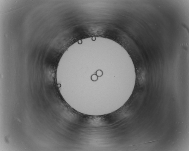 X0000103970235200809191406