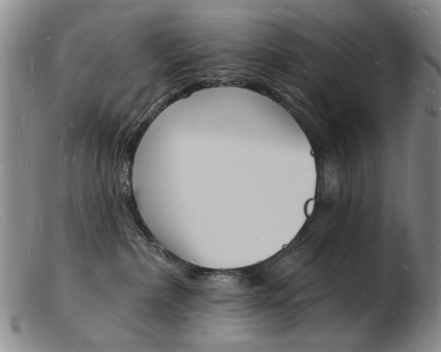 X0000103970236200809191406