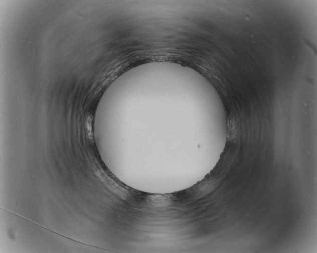 X0000103970238200809191406