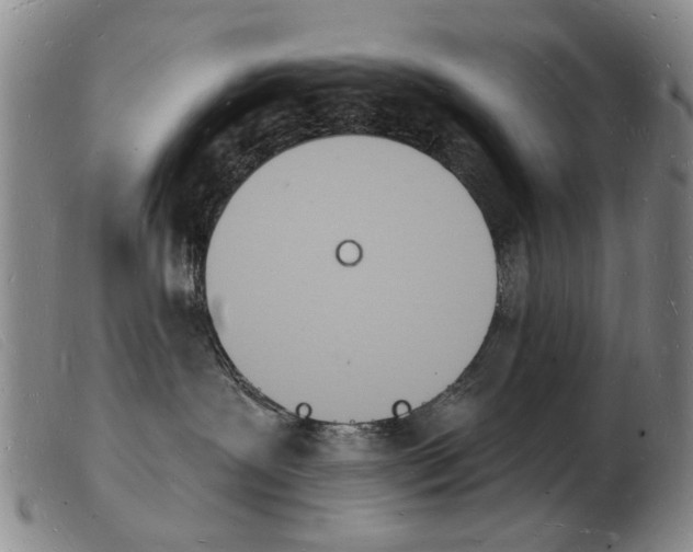 X0000103970239200809191406