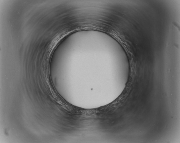 X0000103970241200809191406