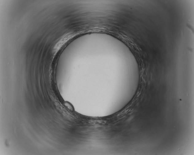 X0000103970242200809191406