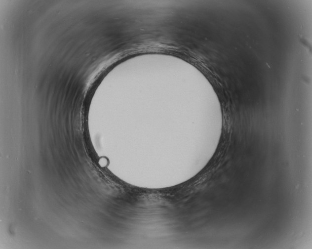 X0000103970244200809191406