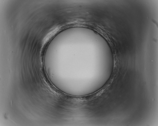 X0000103970245200809191406