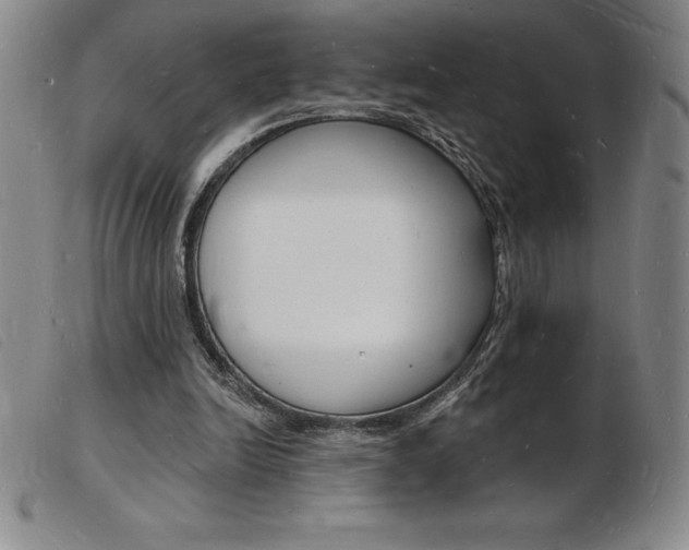 X0000103970246200809191406