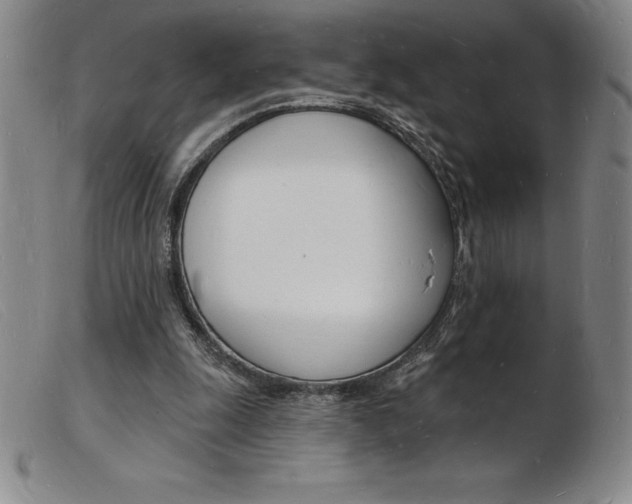 X0000103970247200809191406