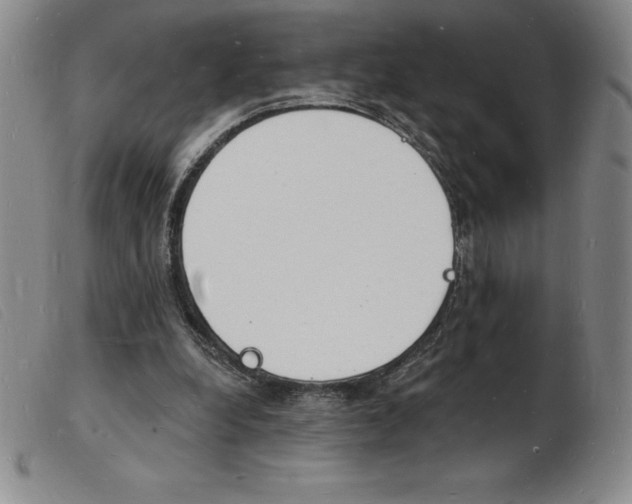 X0000103970248200809191406