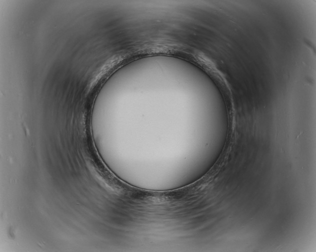 X0000103970250200809191406