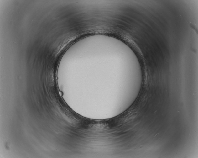 X0000103970251200809191406