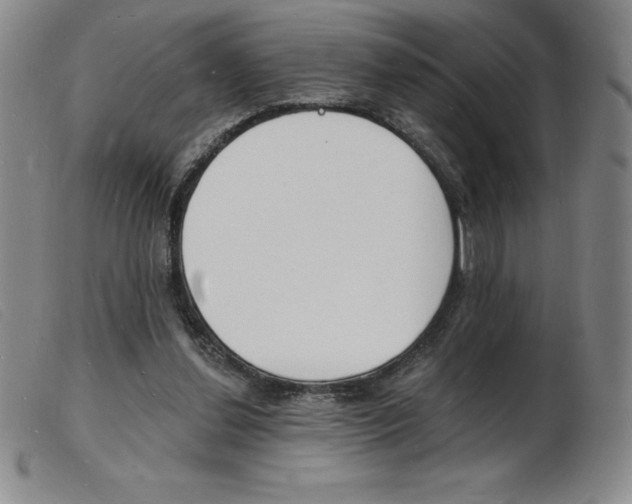 X0000103970252200809191406