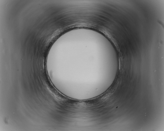 X0000103970253200809191406