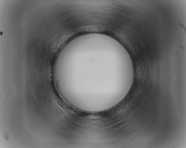 X0000103970255200809191406