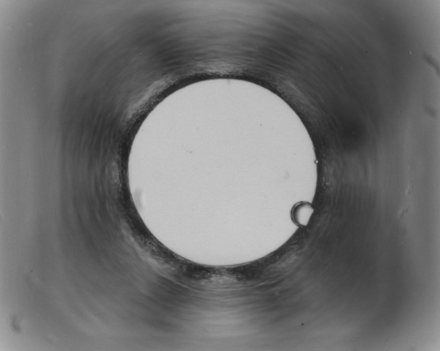 X0000103970256200809191406