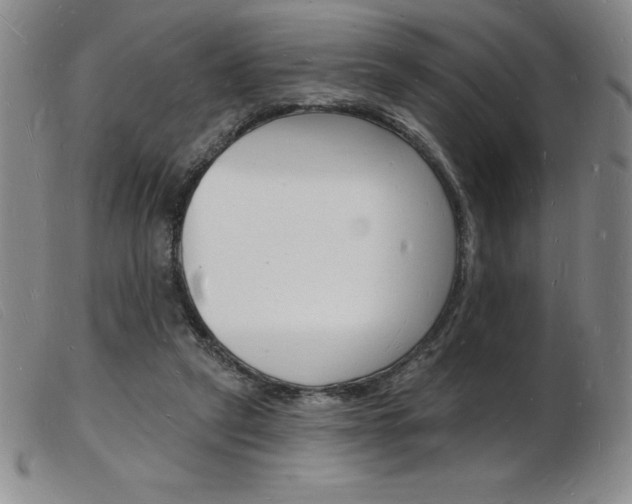 X0000103970257200809191406