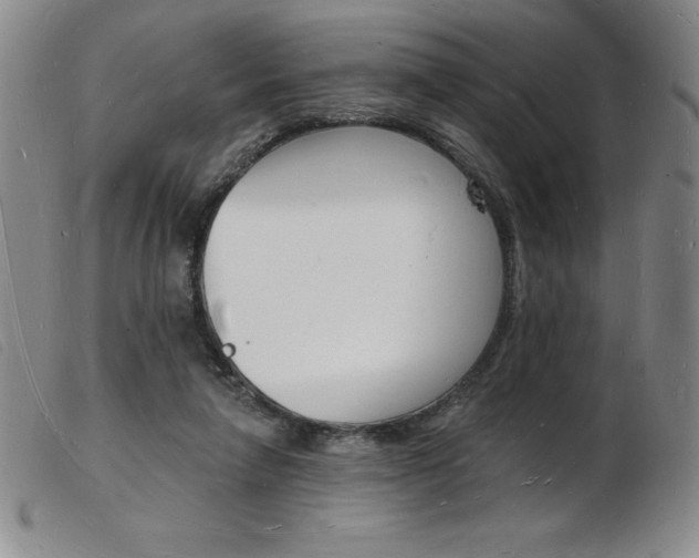 X0000103970258200809191406