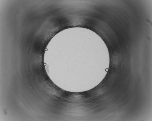 X0000103970260200809191406