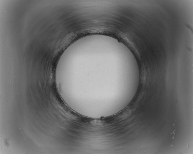 X0000103970261200809191406