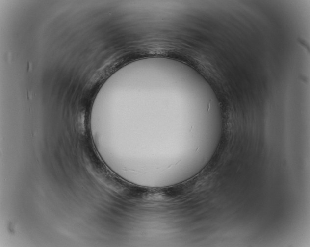 X0000103970262200809191406