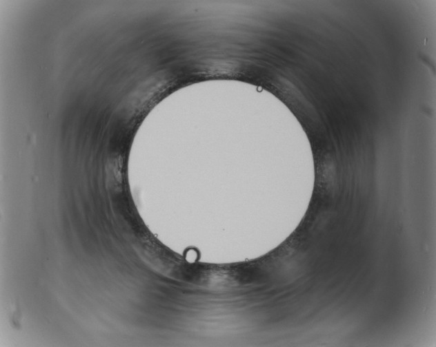 X0000103970264200809191406