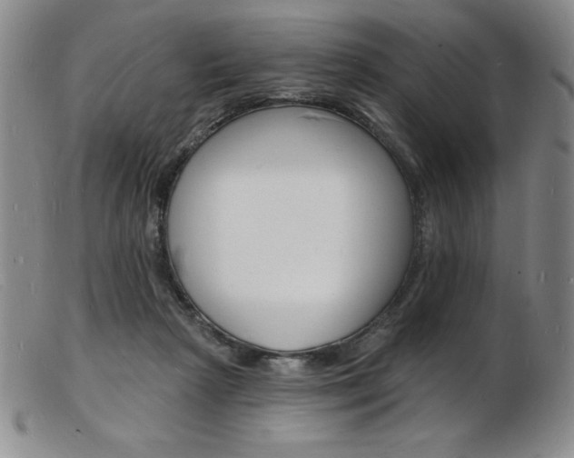 X0000103970265200809191406