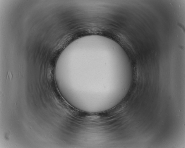 X0000103970266200809191406