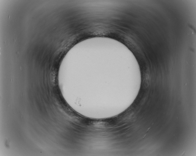 X0000103970268200809191406