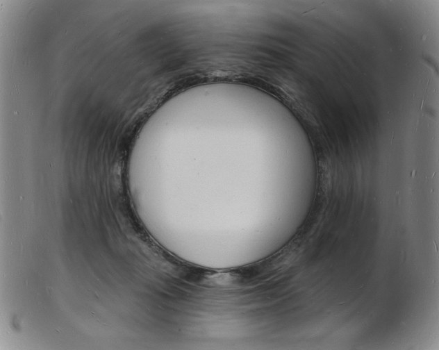 X0000103970269200809191406