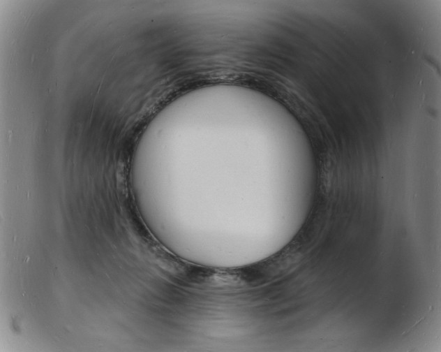 X0000103970270200809191406