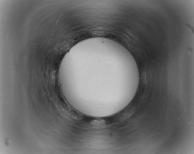 X0000103970271200809191406