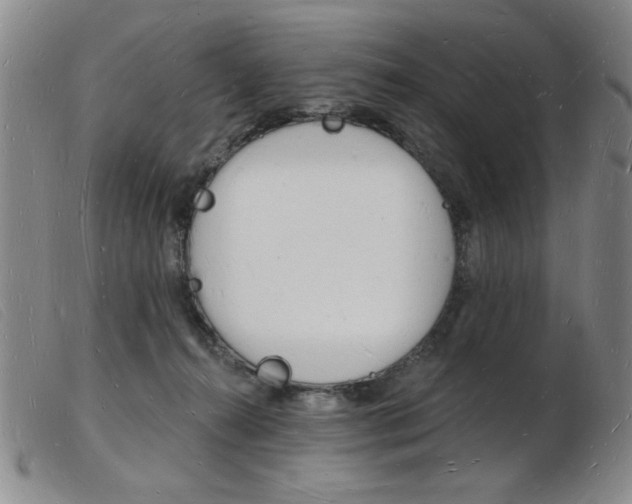 X0000103970272200809191406