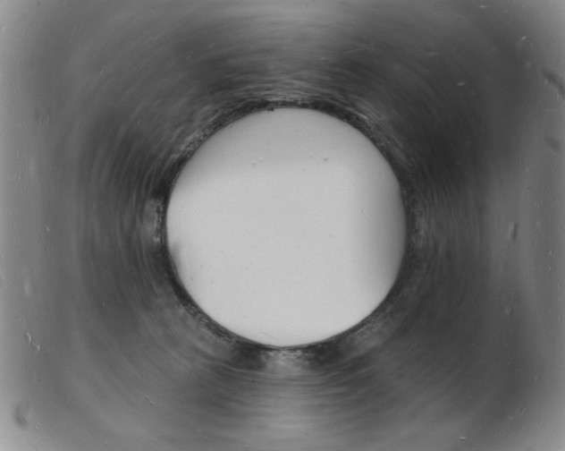 X0000103970273200809191406