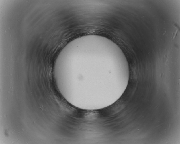 X0000103970274200809191406