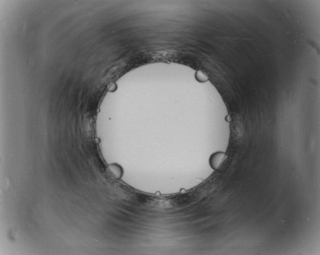 X0000103970276200809191406