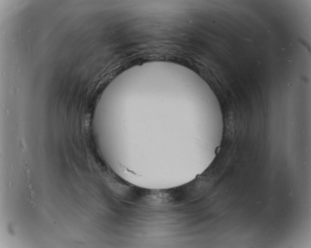 X0000103970278200809191406