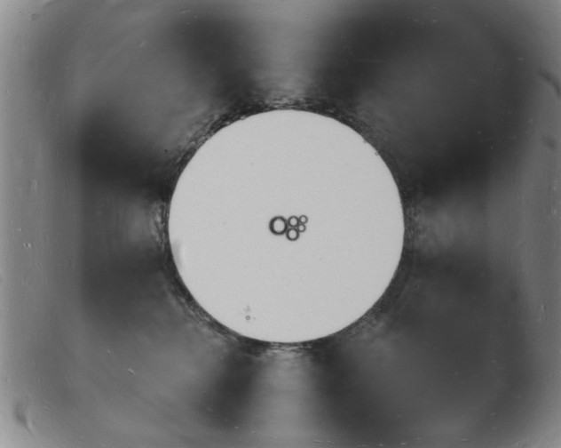 X0000103970280200809191406