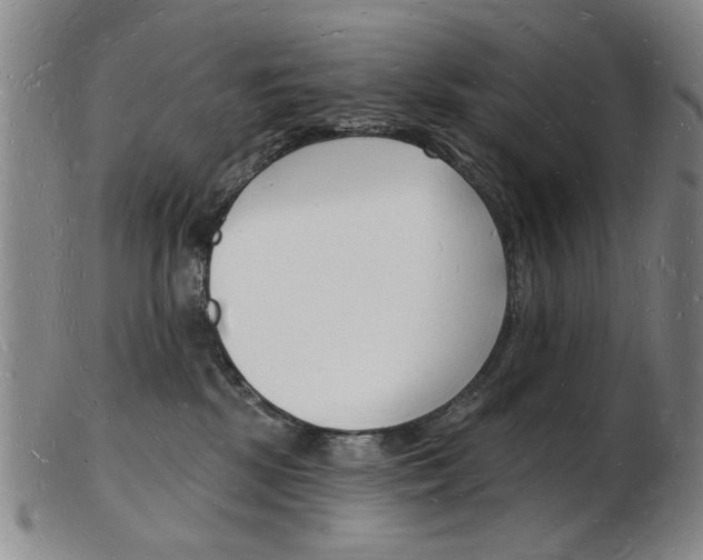 X0000103970281200809191406