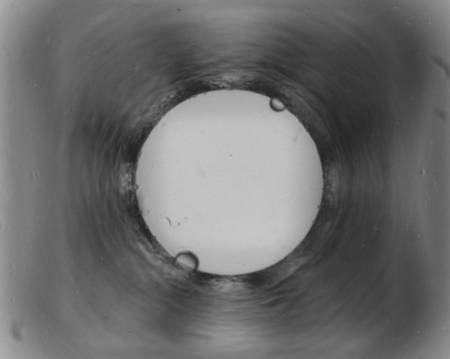 X0000103970284200809191406