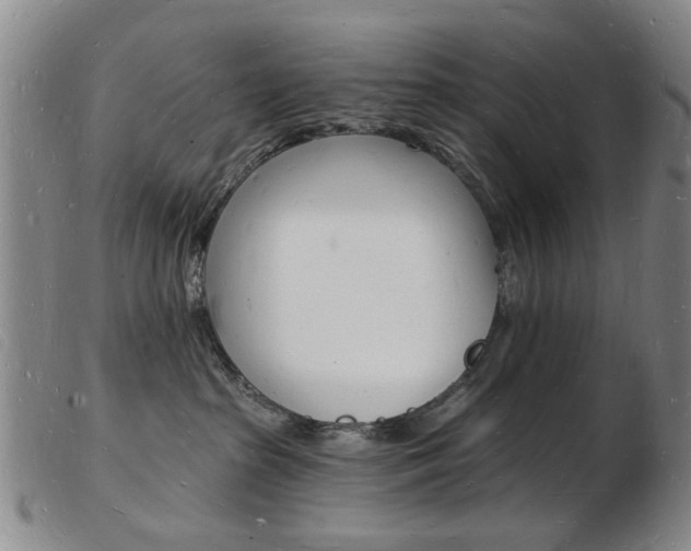 X0000103970285200809191406