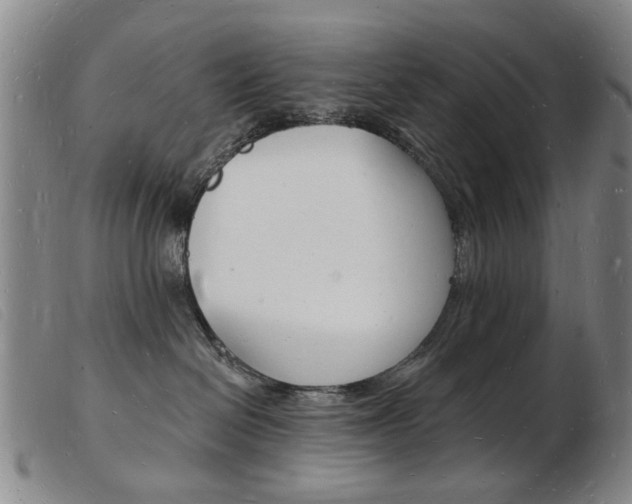 X0000103970286200809191406