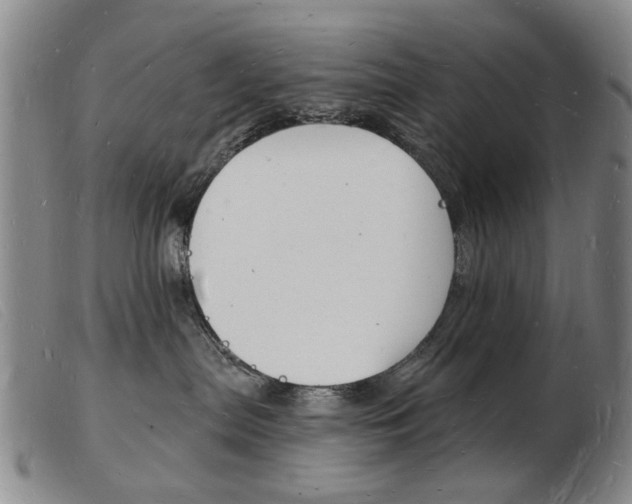 X0000103970287200809191406