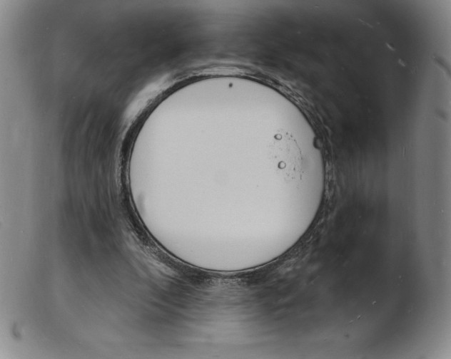 X0000103970296200809191405