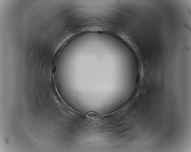 X0000103970297200809191405