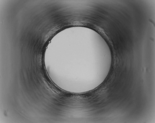 X0000103970299200809191405