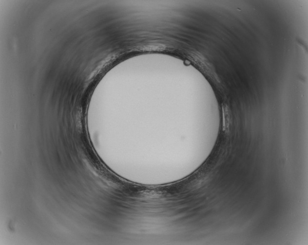 X0000103970300200809191405