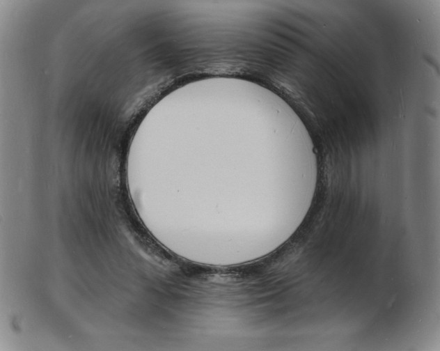 X0000103970303200809191405