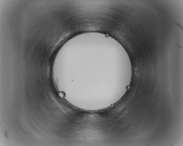 X0000103970304200809191405