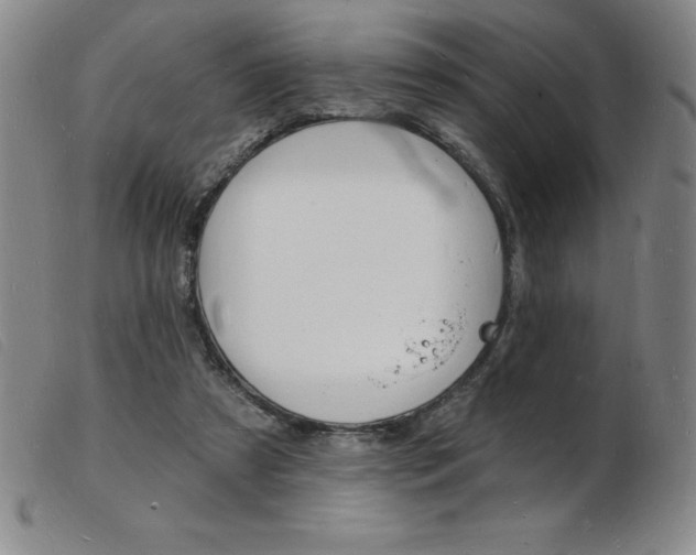 X0000103970305200809191405