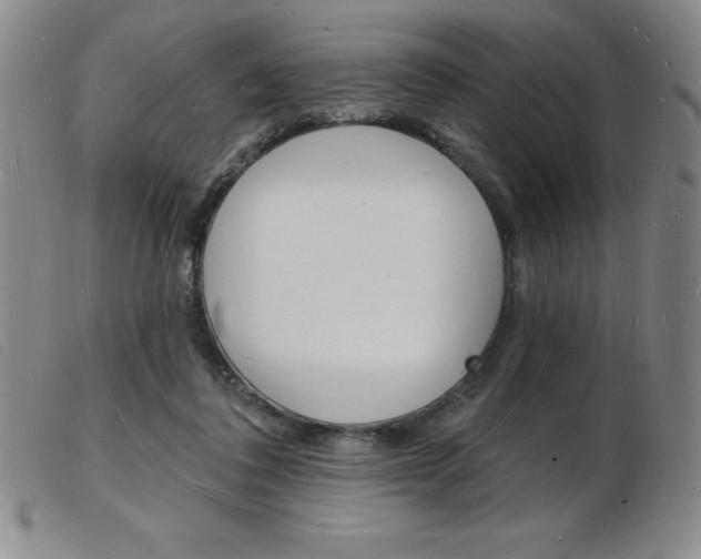 X0000103970308200809191405